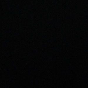 Meet your Posher, Ramona